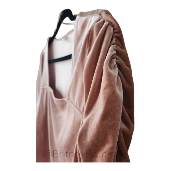 NWOT Self E | Champagne Velvet Tan Women's Blouse - Picture 2 of 3